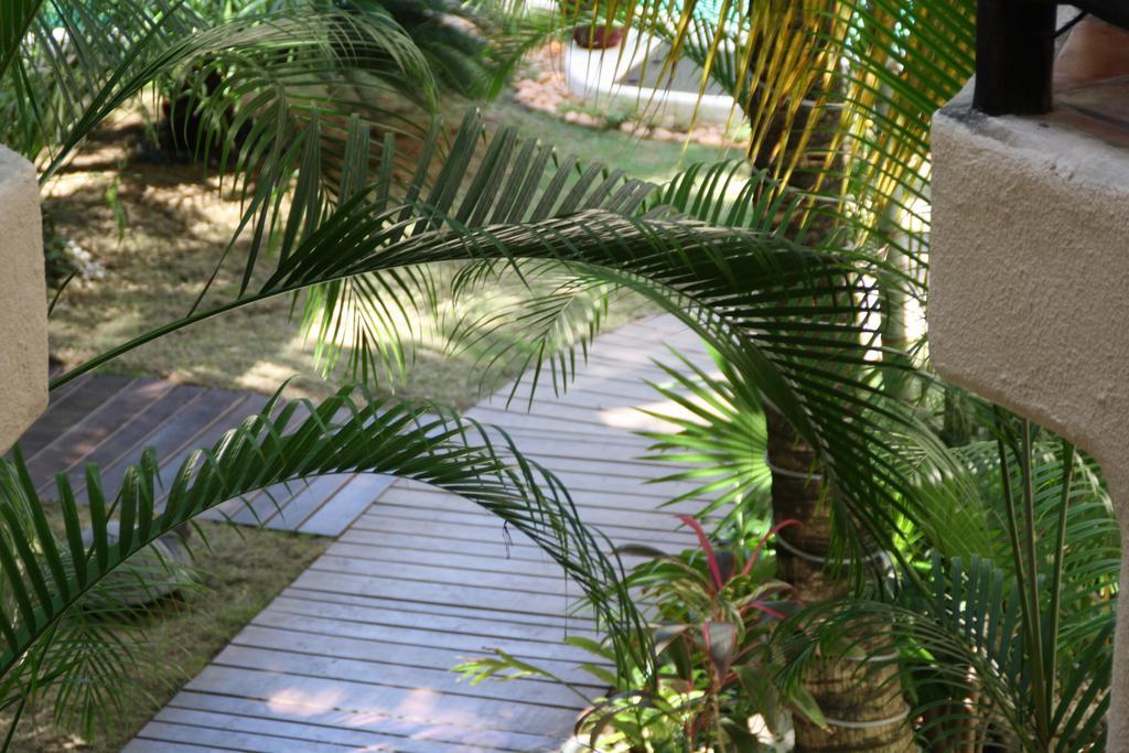 La Tortuga Hotel & Spa - Adults Only Playa del Carmen Exteriör bild