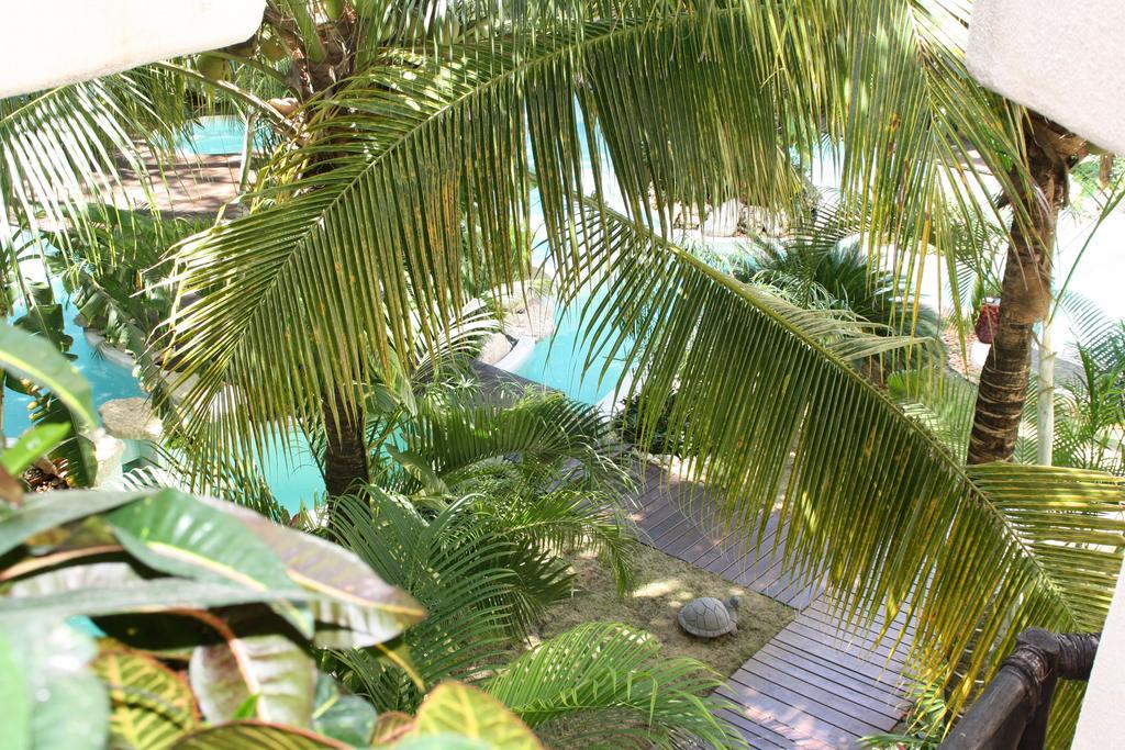 La Tortuga Hotel & Spa - Adults Only Playa del Carmen Exteriör bild