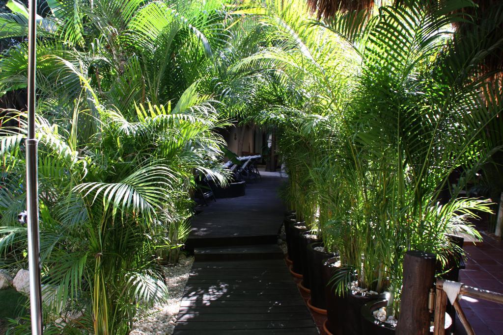 La Tortuga Hotel & Spa - Adults Only Playa del Carmen Exteriör bild